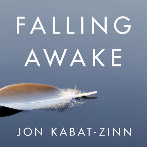 Falling Awake: How to Practice Mindfulness in Everyday Life