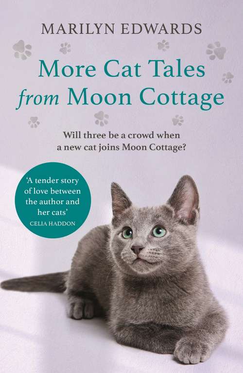 Book cover of More Cat Tales From Moon Cottage