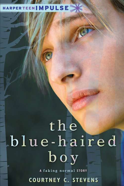 Book cover of The Blue-Haired Boy
