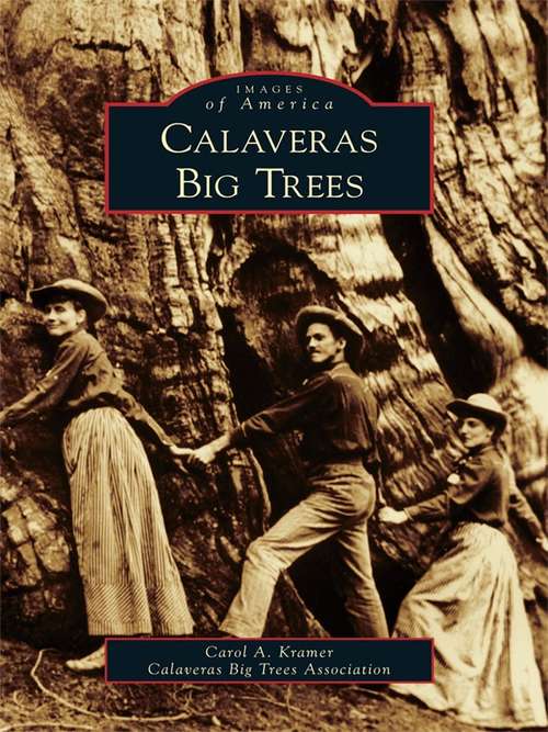 Book cover of Calaveras Big Trees