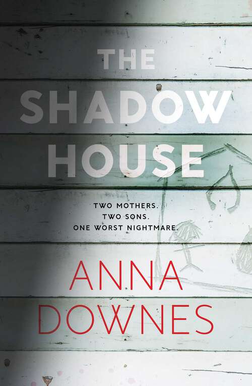 Book cover of The Shadow House