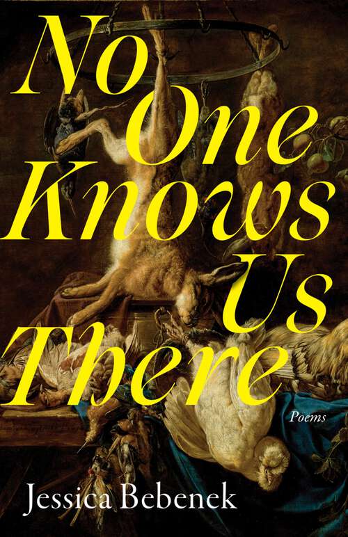 Book cover of No One Knows Us There