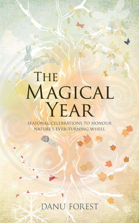 Book cover of The Magical Year