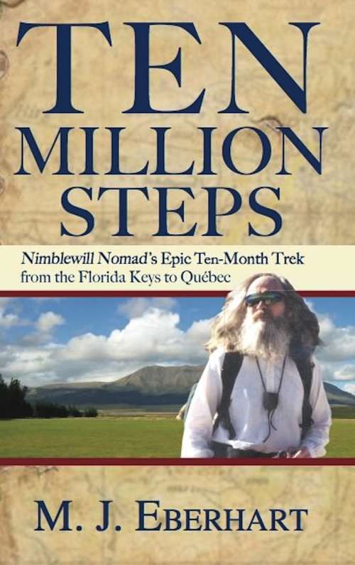 Book cover of Ten Million Steps