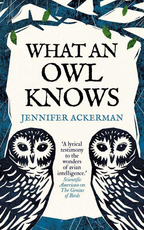 Book cover of What an Owl Knows: The New Science of the World's Most Enigmatic Birds
