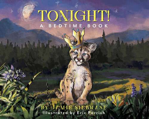 Book cover of Tonight!: A Bedtime Book