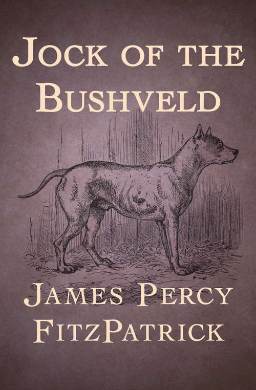Book cover of Jock of the Bushveld (Digital Original)