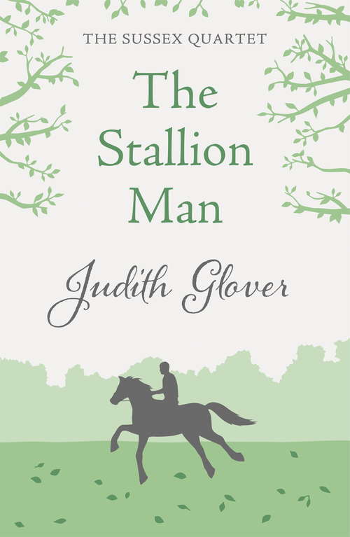 Book cover of The Stallion Man