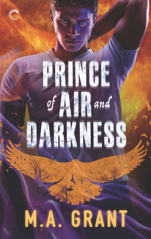 Book cover of Prince of Air and Darkness: A Gay Fantasy Romance (Original) (The Darkest Court #1)