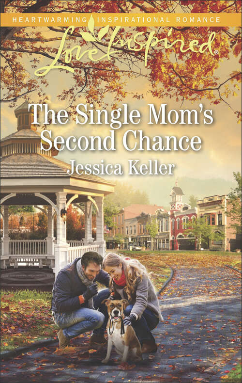 Book cover of The Single Mom's Second Chance: Their Pretend Amish Courtship Second-chance Cowboy The Single Mom's Second Chance (Goose Harbor #6)