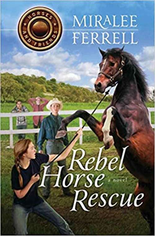 Rebel Horse Rescue: Horses and Friends