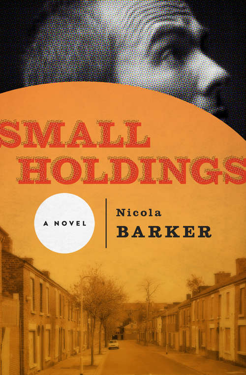 Book cover of Small Holdings
