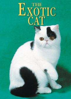 Book cover of The Exotic Cat (Learning About Cats)