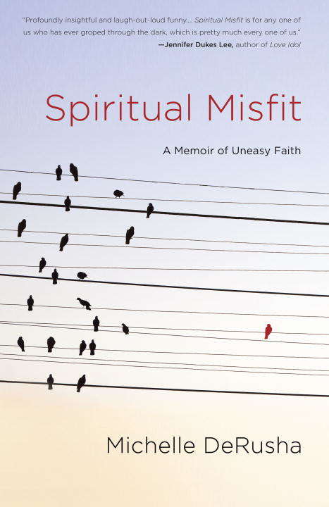 Book cover of Spiritual Misfit