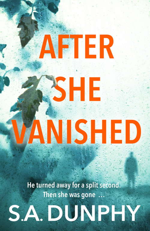 Book cover of After She Vanished