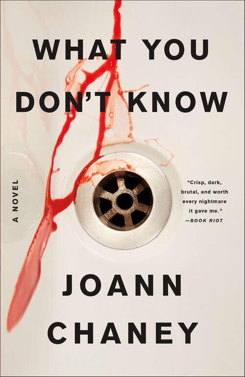 Book cover of What You Don't Know: A Novel
