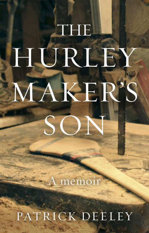 Book cover of The Hurley Maker's Son