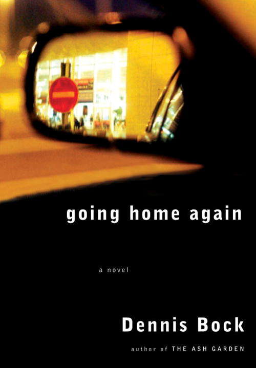 Book cover of Going Home Again