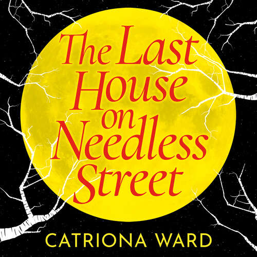 Book cover of The Last House on Needless Street