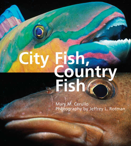 Book cover of City Fish, Country Fish