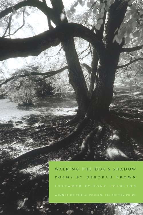 Book cover of Walking the Dog's Shadow