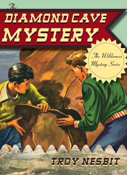 Book cover of The Diamond Cave Mystery (The Wilderness Mystery Series)