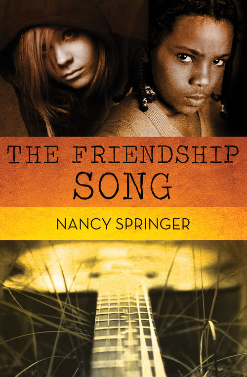 Book cover of The Friendship Song