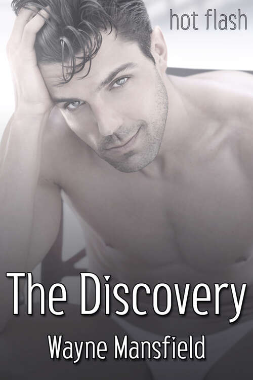 Book cover of The Discovery
