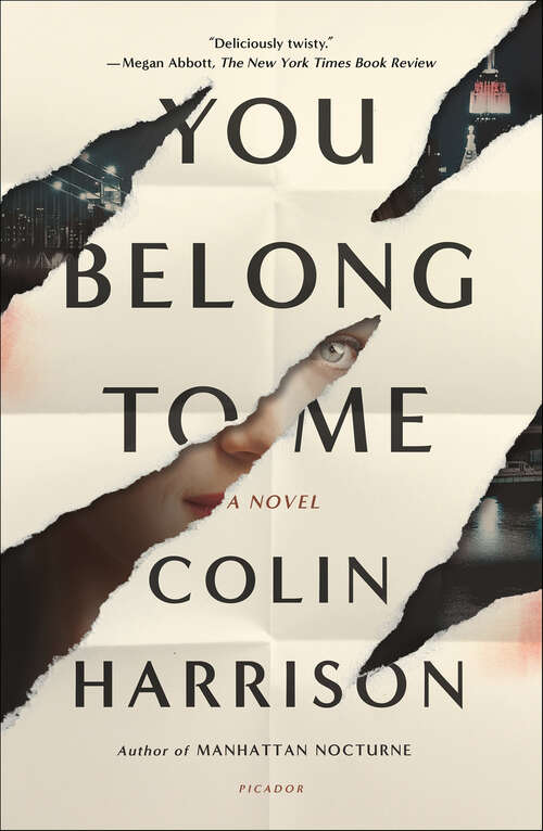 Book cover of You Belong to Me: A Novel