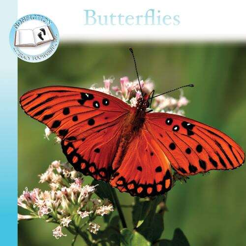 Book cover of Butterflies: Nonfiction Cyan Set (National Edition) (Nonfiction Collection)