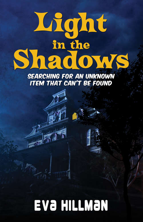 Book cover of Light in the Shadows: Searching for an unknown item that can't be found