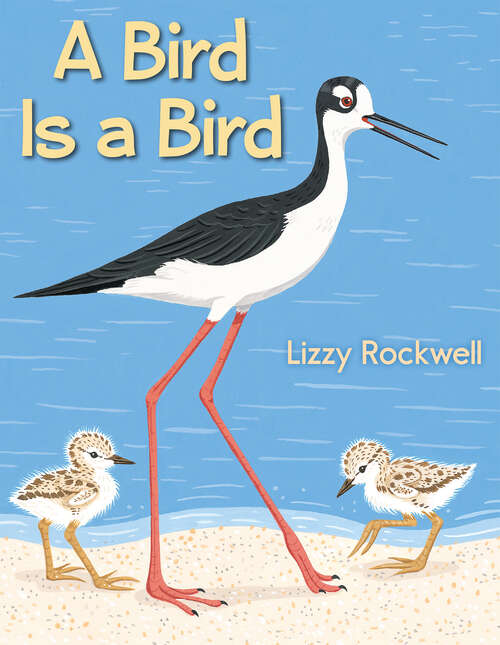 Book cover of A Bird Is a Bird