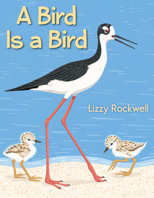 Book cover of A Bird Is a Bird