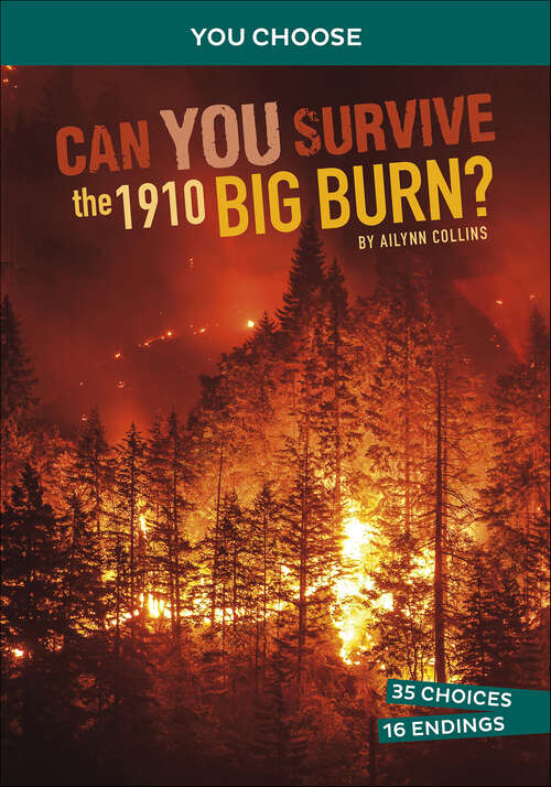Book cover of Can You Survive the 1910 Big Burn? (You Choose)