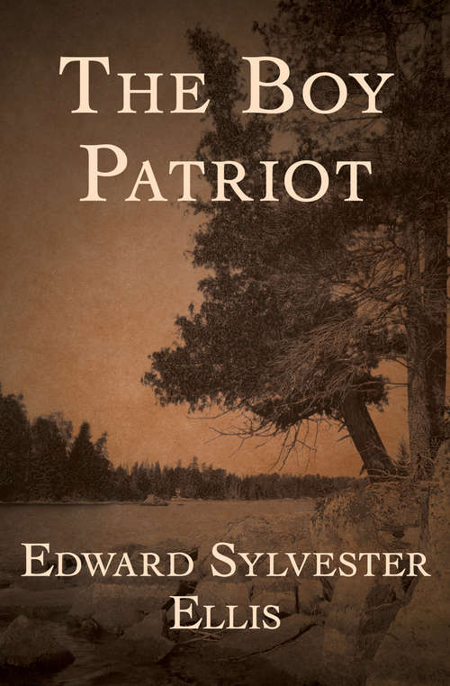 Book cover of The Boy Patriot