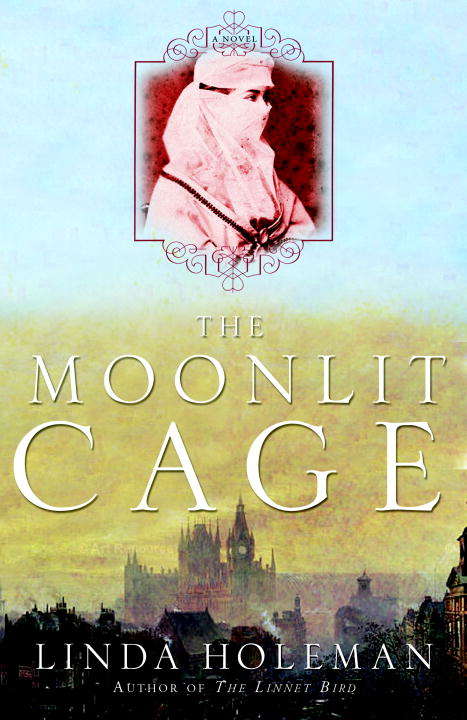 Book cover of The Moonlit Cage