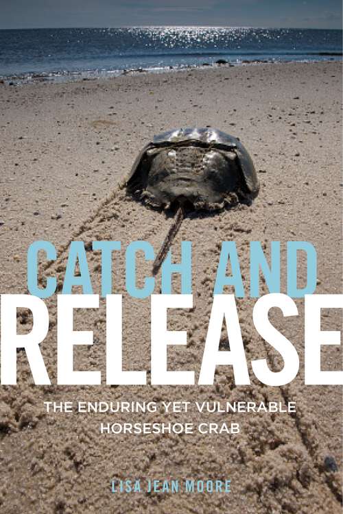 Catch and Release: The Enduring Yet Vulnerable Horseshoe Crab