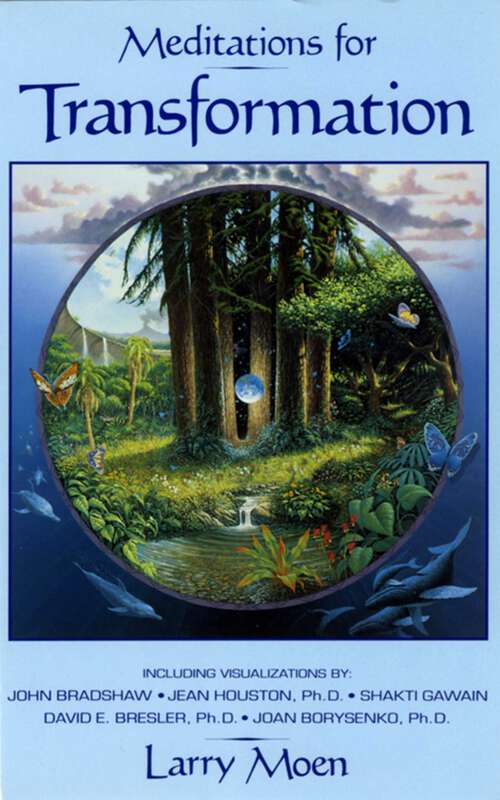 Book cover of Meditations for Transformation