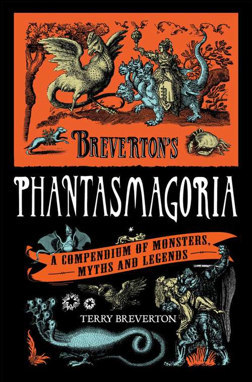 Book cover of Breverton's Phantasmagoria