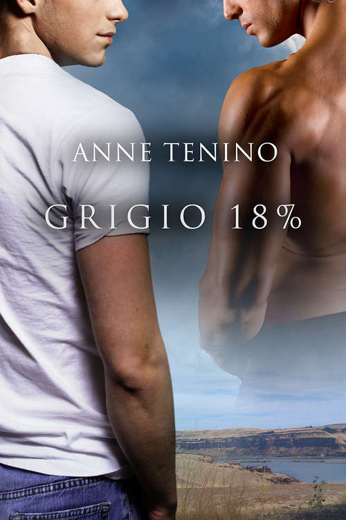 Book cover of Grigio 18%