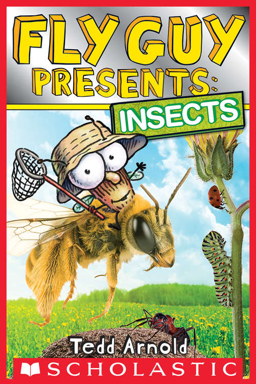 Book cover of Fly Guy Presents: Insects (Scholastic Reader, Level #2)