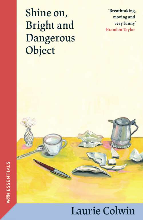 Book cover of Shine on, Bright and Dangerous Object: A Novel