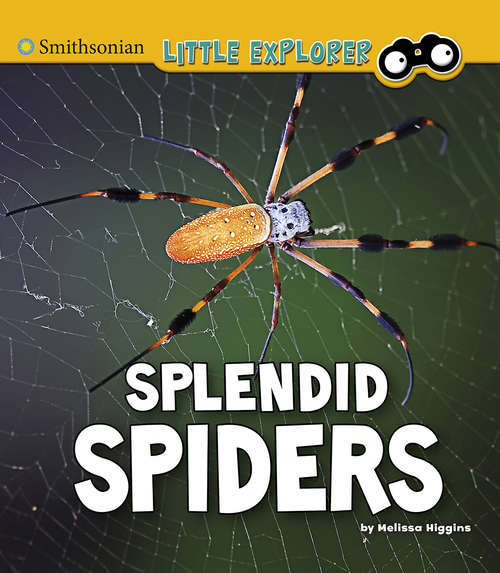 Book cover of Splendid Spiders (Little Entomologist 4D)