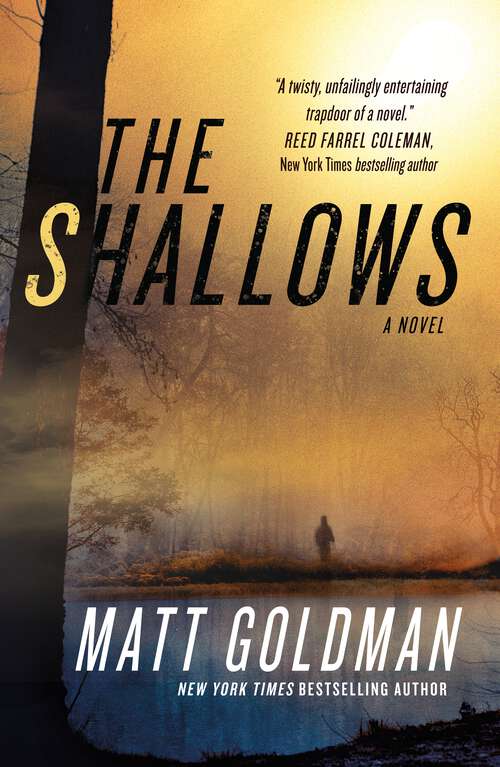 Book cover of The Shallows: A Nils Shapiro Novel (Nils Shapiro #3)