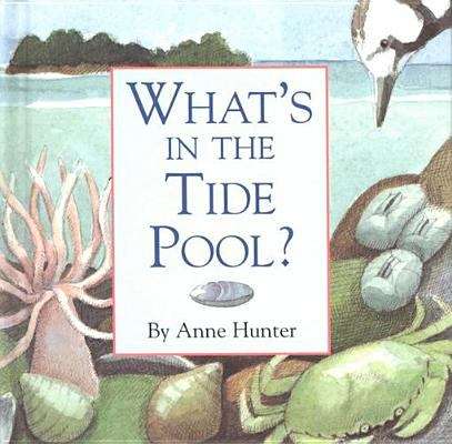 Book cover of What's in the Tide Pool?