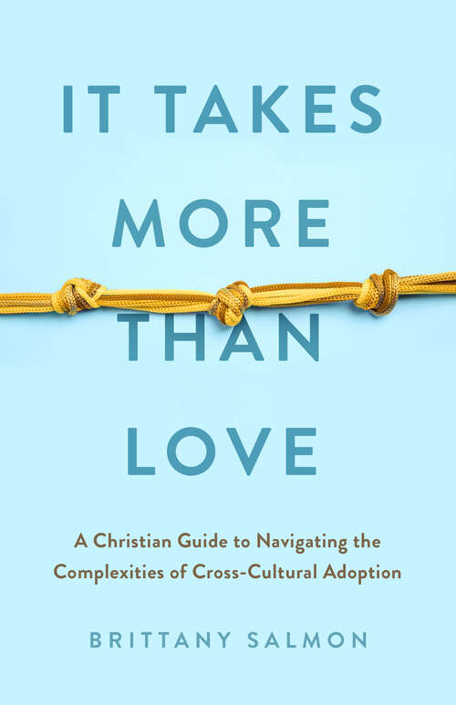 Book cover of It Takes More than Love: A Christian Guide to Navigating the Complexities of Cross-Cultural Adoption
