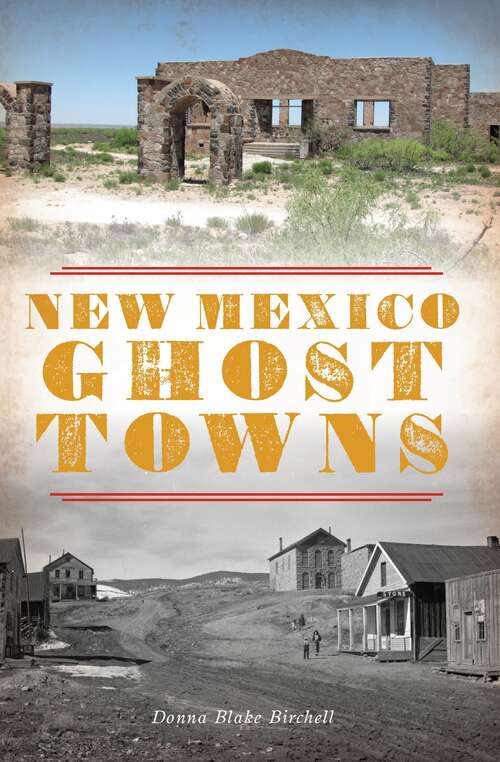 Book cover of New Mexico Ghost Towns