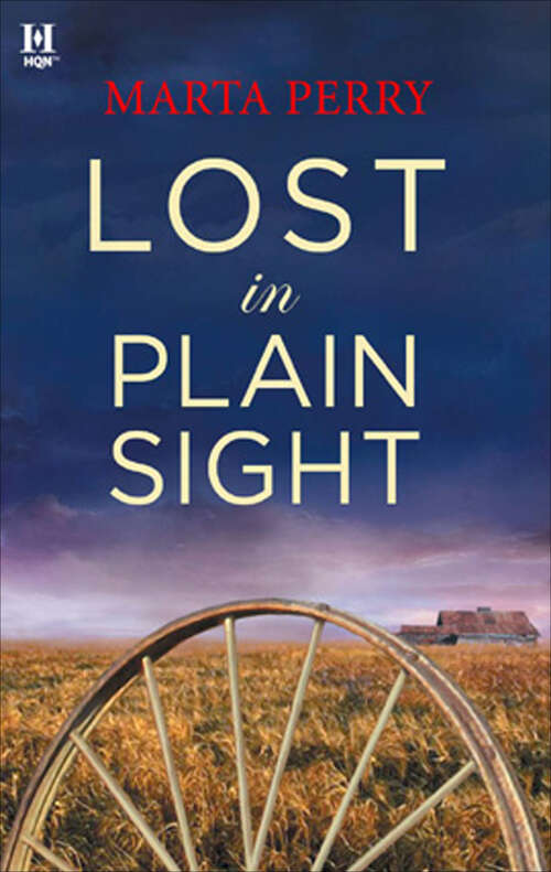 Book cover of Lost in Plain Sight (Brotherhood Of The Raven Ser.)