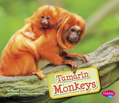 Book cover of Tamarin Monkeys (Monkeys Ser.)