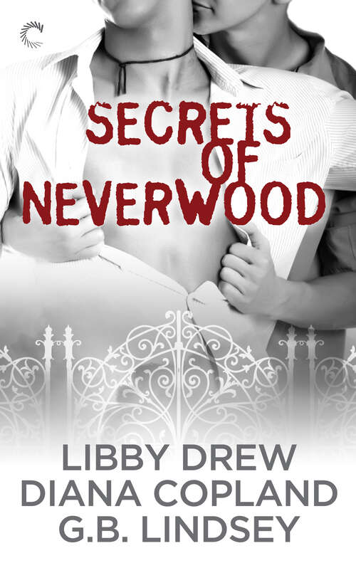 Book cover of Secrets of Neverwood